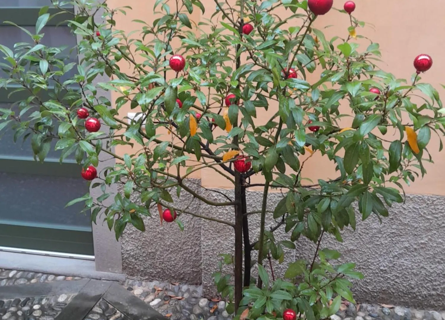 Apartamento La Corte Dei Cappuccini Bérgamo Italia